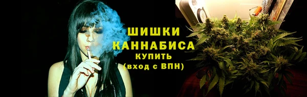 прущая мука Бородино