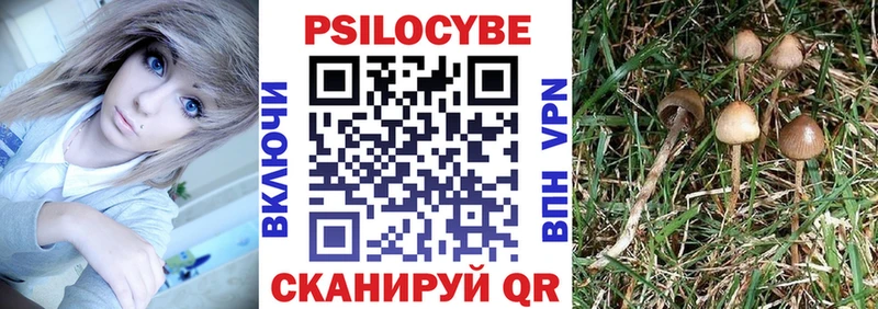 Псилоцибиновые грибы Psilocybine cubensis  Баксан 